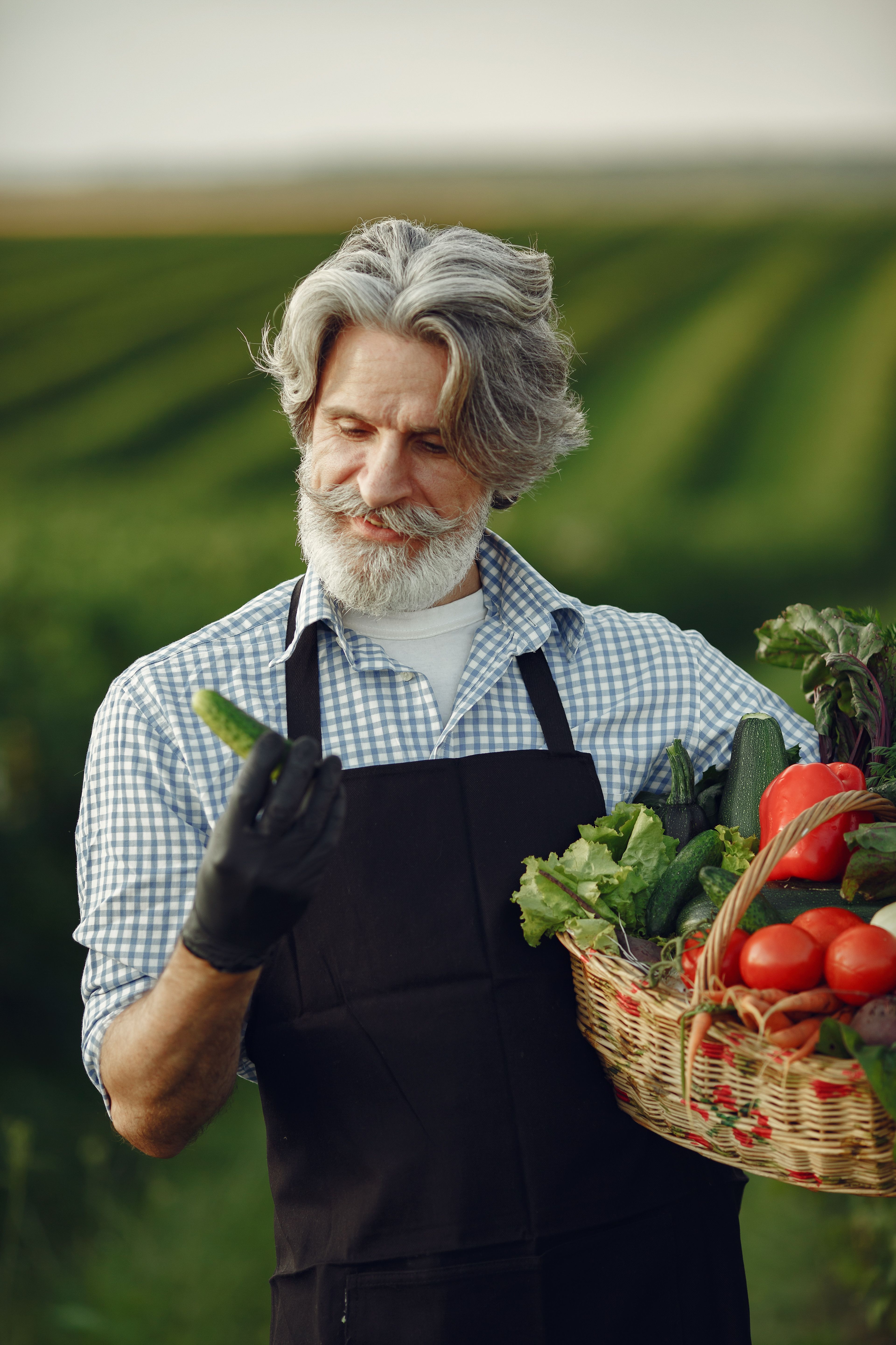 Summer Harvest Market